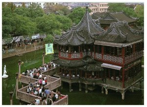 A Grand Ceremony in the First Month of the Lunar Year Tea Postcard