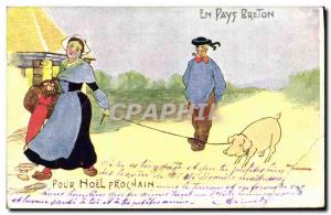 Old Postcard Pig Pig In Breton country Felle For next Christmas