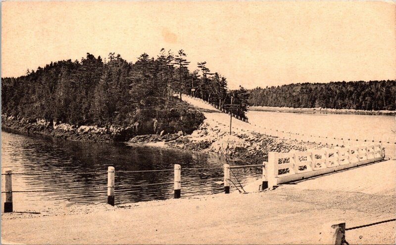 Orrs Island Maine Scenic Roadside Landscape Forest Lake BW Postcard 