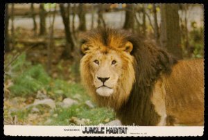 Warner Bros. Jungle Habitat