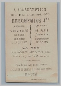 1880s A. L'assomption Paris Department Store Lovely Lady #1 F149