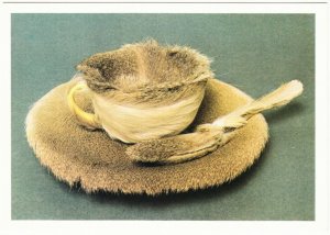 Object - Fur Covered Cup and Saucer by Meret Oppenheim Surrealist Art Postcard