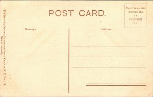 Postcard NY Oneonta Old toll-gate Franklin Road