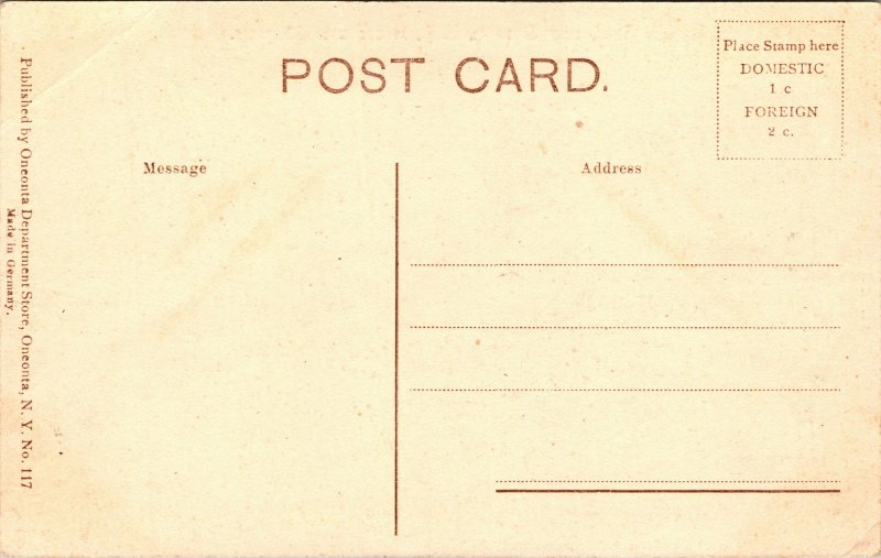 Postcard NY Oneonta Old toll-gate Franklin Road