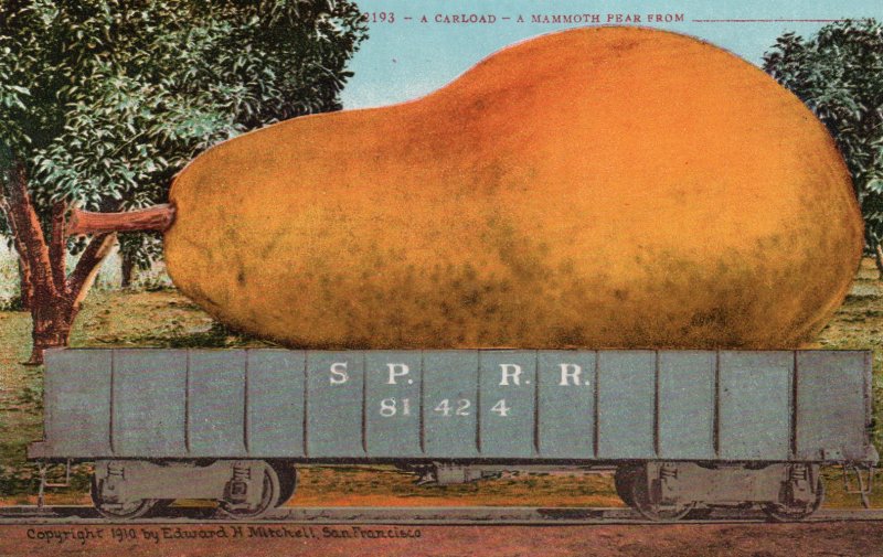 13072 Exaggeration: A Carload - A Mammoth Pear 1910