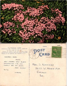 Mountain Laurel (12029)