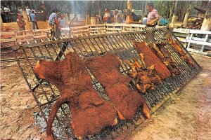 Lot 15 leathered roast uruguay types folklore asado con cuero
