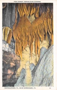 Indian Echo Caverns Fish Market - Hummelstown, Pennsylvania PA Postcard