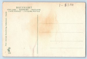 Silkeborg Midtjylland Denmark Postcard Tree Garden View c1910 Unposted