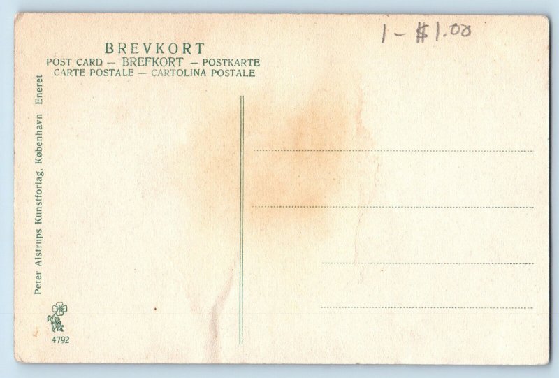 Silkeborg Midtjylland Denmark Postcard Tree Garden View c1910 Unposted