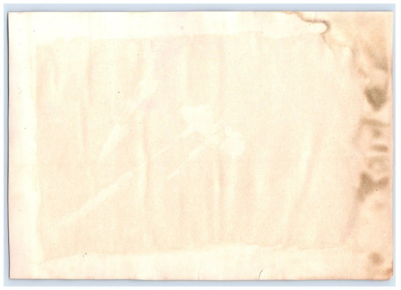 1880s-90s NY Recorder Souvenir Insert Card The White House #6V