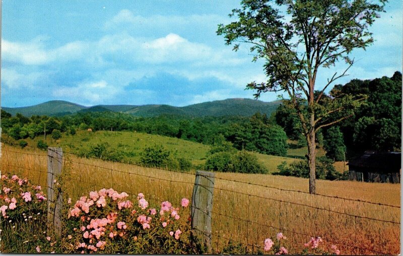 Blue Ridge Country Springtime Mountains Massachusetts MA VTG Postcard UNP Unused 