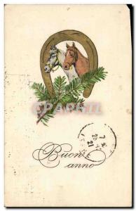 Old Postcard Equestrian Riding Horseshoe