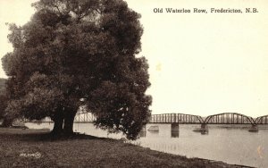 Vintage Postcard 1910's Old Waterloo Row Fredericton New Brunswick Canada