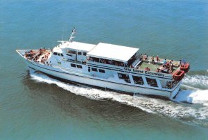 Gulfport, MS Mississippi  M/V GULF ISLANDER  Excursion Ferry Boat  4X6 Postcard