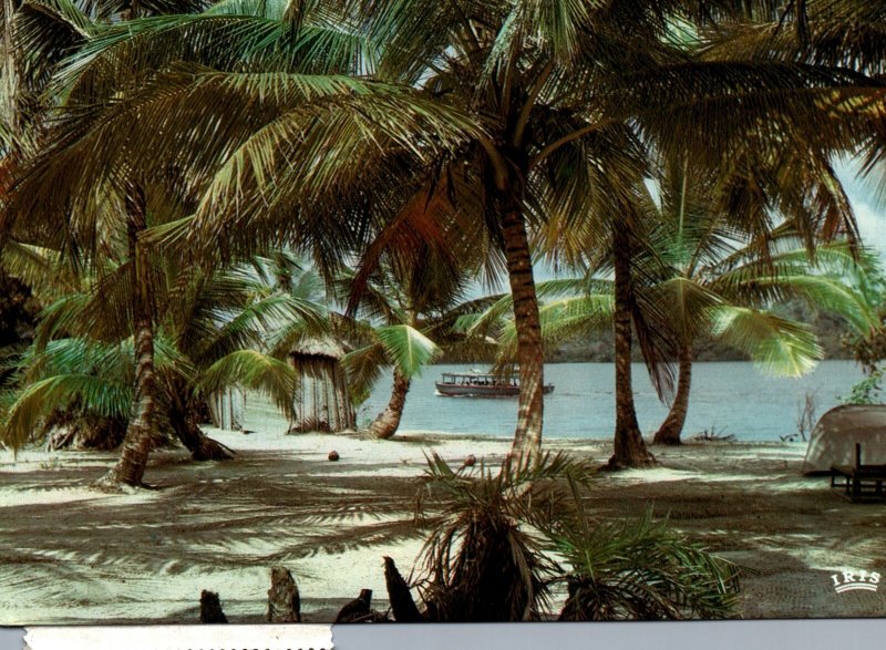 VINTAGE CONTINENTAL SIZE POSTCARD BEACH AND HUTS COASTAL LIBERIA