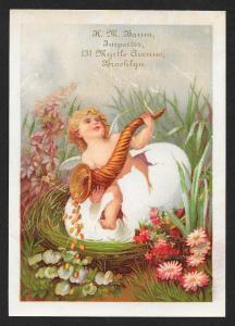 VICTORIAN TRADE CARDS (3) HM Baum Importer Baby Coming Out of Egg Shells