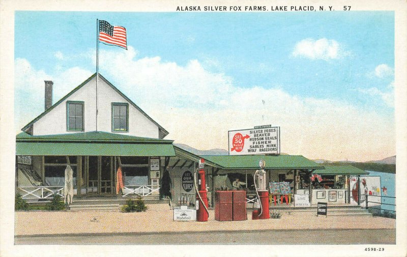 Lake Placid NY Alaska Silver Fox Farms Mobil Gas Station Postcard
