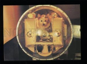 134171 1985 USSR SPACE LAIKA First passenger on Space Trip old