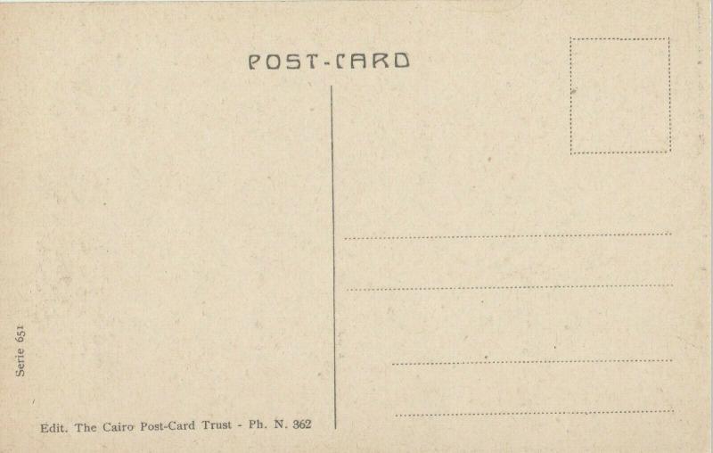 Egypt Heliopolis panorama view vintage postcard
