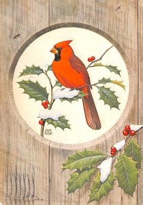 Cardinal Art By Chuck Ripper Postal Used Unknown 