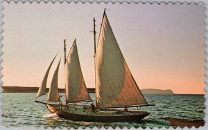 Newfoundland Fishing Schooner Plastichrome Postcard Canada Sailboat Sunset H82