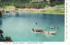 Japan View of Osawa Marsh Higashizawa Park 05.88