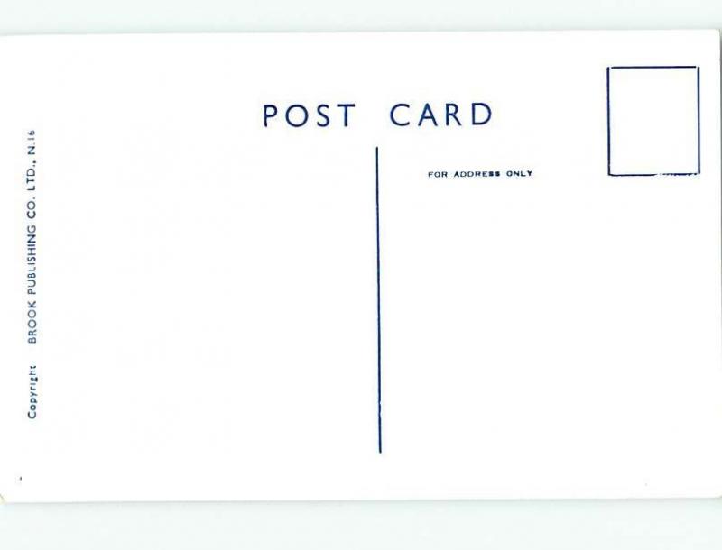 Bamforth risque signed SEXY GIRLS SERVING SNACKS AT THE BEACH HL3131