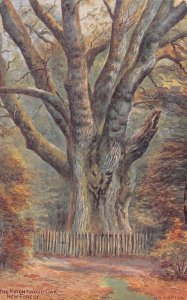 A705 England The Knightwood Oak New Forest vintage postcard