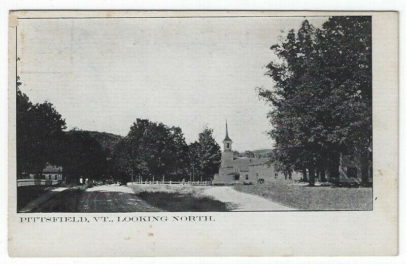 Pittsfield, Vermont, Vintage Postcard View Looking North