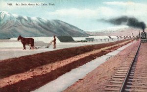 Vintage Postcard Salt Flats Beds Hard White Salt Crust Great Salt Lake Utah UT