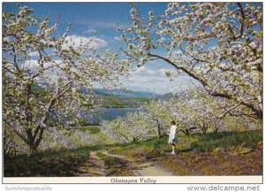 Canada British Columbia Okanagan Valley During Blossom Time