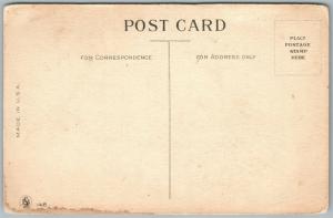 EXAGGERATED ANTIQUE POSTCARD TOMATOES farming