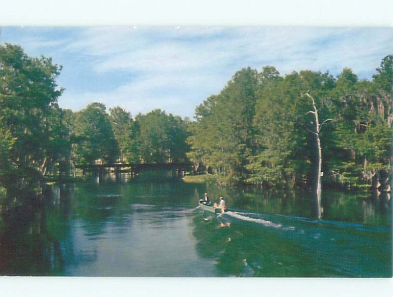 Pre-1980 RIVER SCENE Dunnellon - Near Ocala Florida FL AE6034