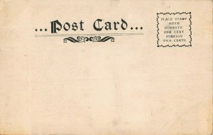 BALTIMORE MD~WALLACE MONUMENT-DRUID HILL PARK 1900s POSTCARD