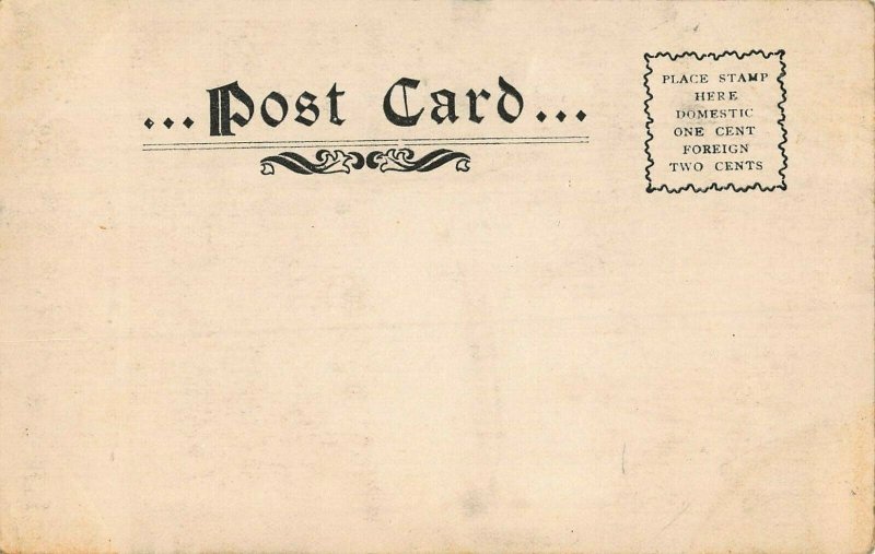 BALTIMORE MD~WALLACE MONUMENT-DRUID HILL PARK 1900s POSTCARD