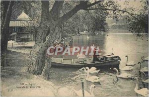 Postcard Old Lyon golden head park Swans