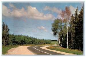 c1950's Bird's Hill Provincial Park Manitoba Canada Vintage Postcard