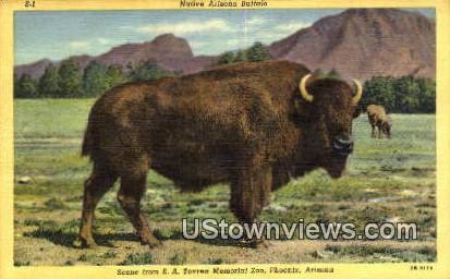 E.A. Tovrea Memorial Zoo Phoenix AZ Unused