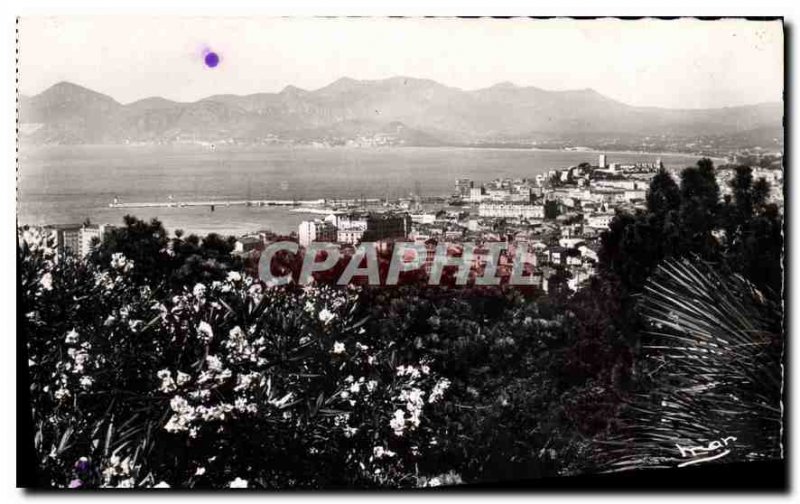 Old Postcard The French Riviera Cannes Riviera General view