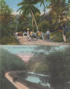 Scene On The Road To Bog Walk Jamaica 2x Postcard s