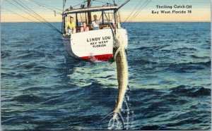 postcard Thrilling Catch Off Key West Florida - Lindy Lou fishing boat