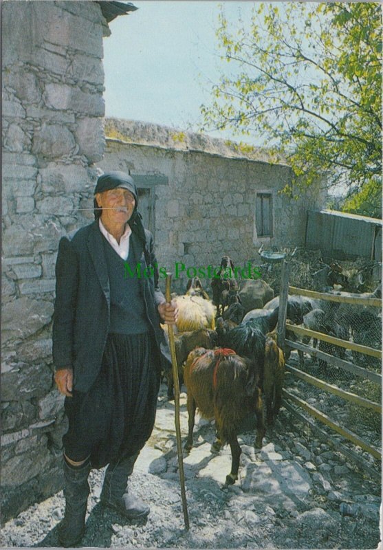 Cyprus Postcard - A Shepherd, Une Bergere, Farm Animals. Posted RR20291