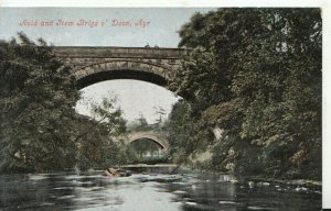 Scotland Postcard - Auld and New Brigs o' Doon - Ayrshire - Ref TZ1648