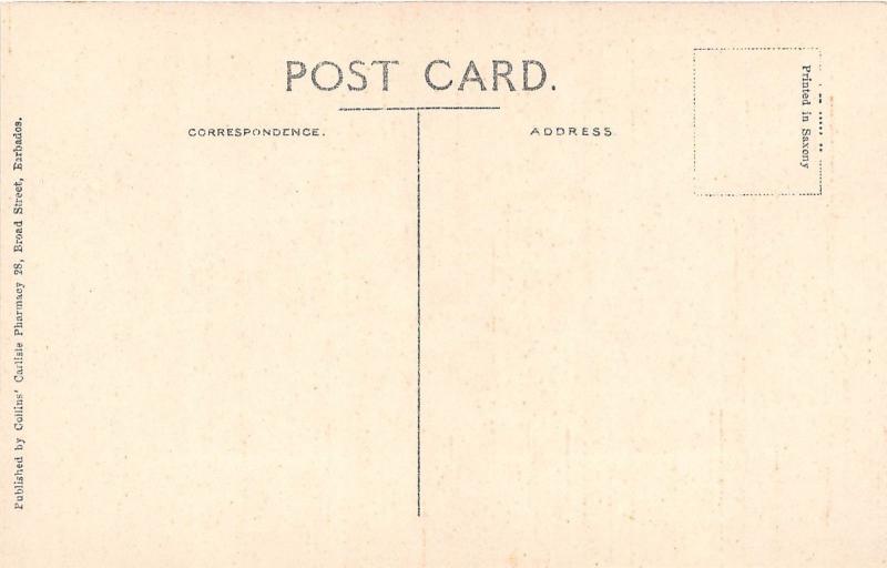 E46/ Barbados Foreign Postcard Caribbean c1910 Broad Street Stores 3