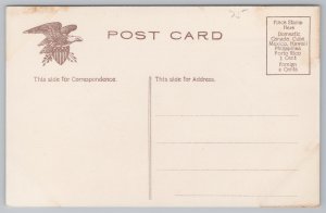 State View~Montgomery Alabama Capitol Building~Shield~IPCC~Vintage Postcard