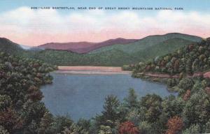 Lake Santeetlah NC, North Carolina - Edge of the Great Smoky Mountains - Linen