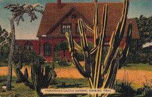 Postcard Fitzpatrick's Cactus Gardens Edinburg Texas TX