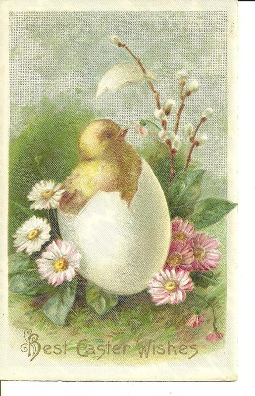 1910 Best Easter Wishes ~ Cute