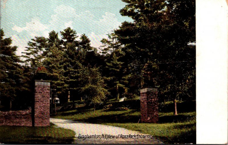 New York Binghamton View Of Ross Park Entrance 1907